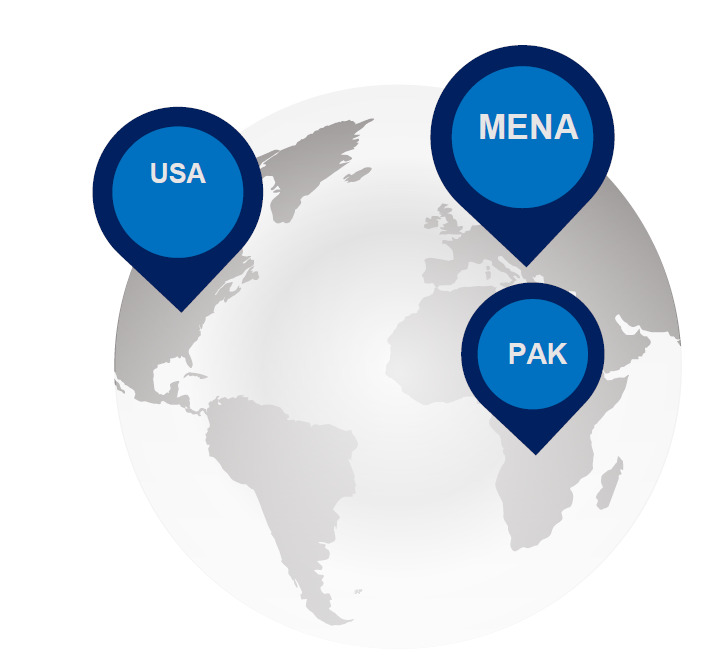 Netline Global Presence